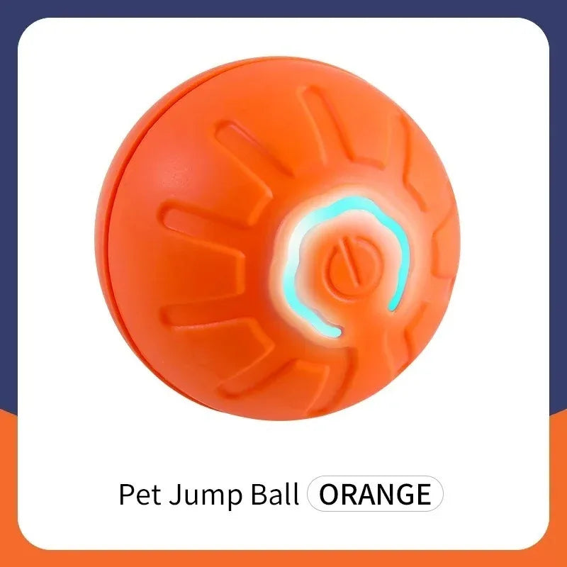 Interactive Pet Toy Ball