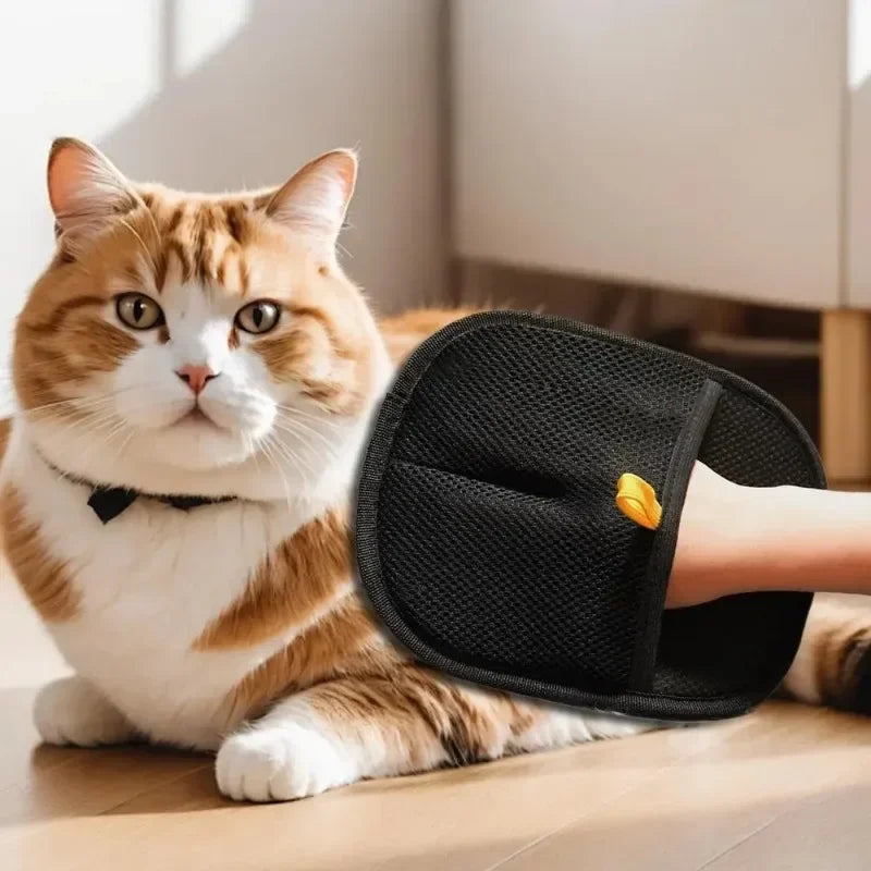 Gants anti-poils pour animaux de compagnie – Outil de toilettage et de nettoyage antistatique