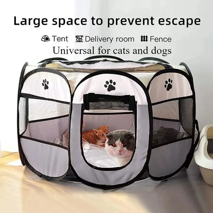 Cat Bowl Automatic Feeder - Integrated Water Dispenser - Bascora