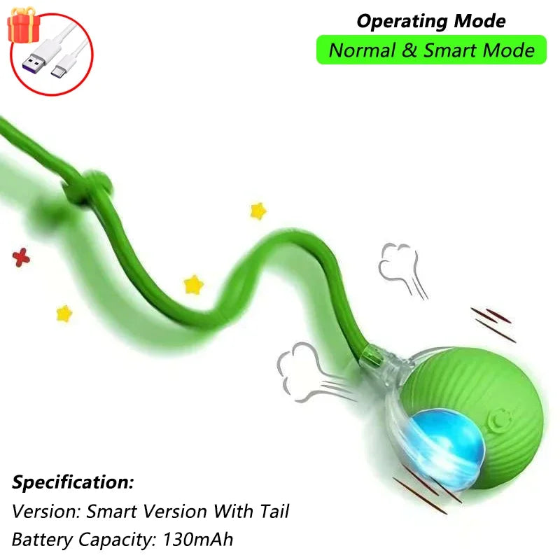 Interactive Cat Toy - Wall Hanging Birds Teaser with Catnip