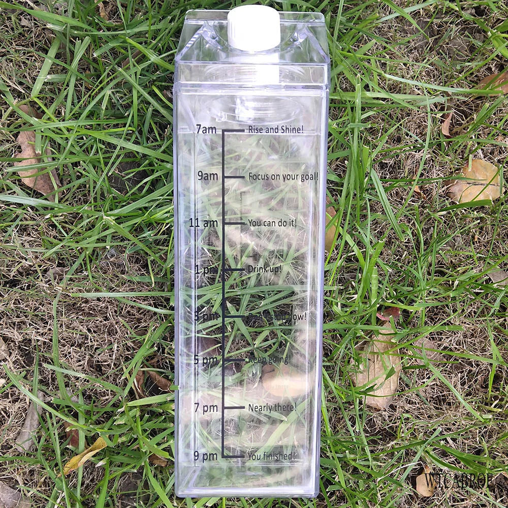 Bouteille d'eau en carton de lait - Gobelet portable transparent