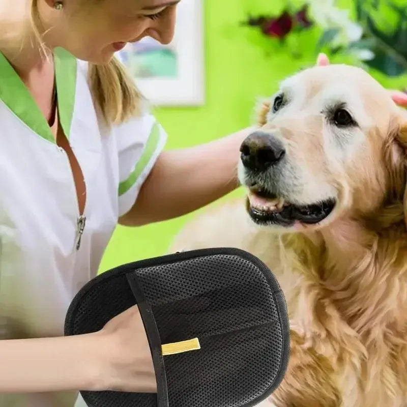Gants anti-poils pour animaux de compagnie – Outil de toilettage et de nettoyage antistatique