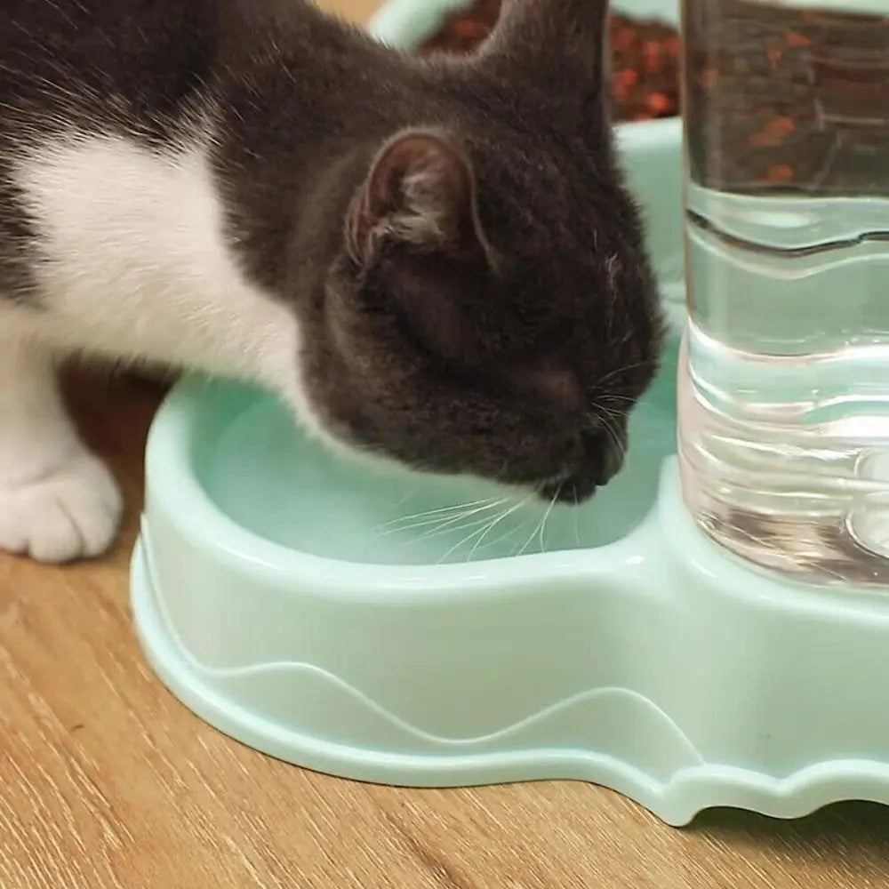 3.8L Automatic Pet Water Fountain - Large Capacity Food & Water Dispenser