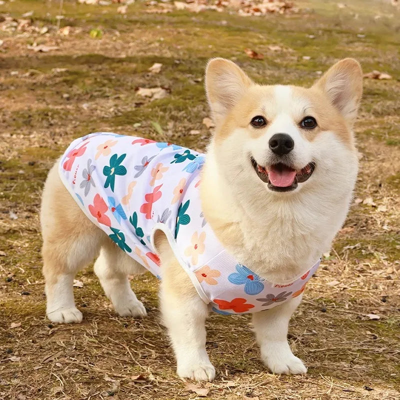 Pet Summer Cooling Vest