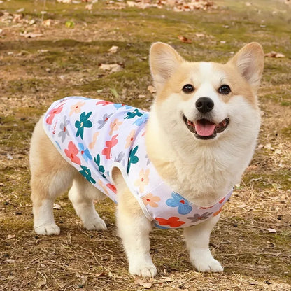 Pet Summer Cooling Vest - Bascora