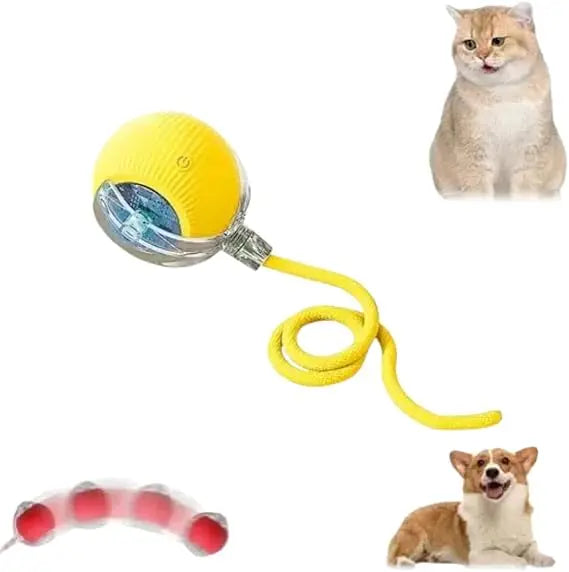Speedy Tail 2.0 Smart Interactive Rolling Cat Toy Ball