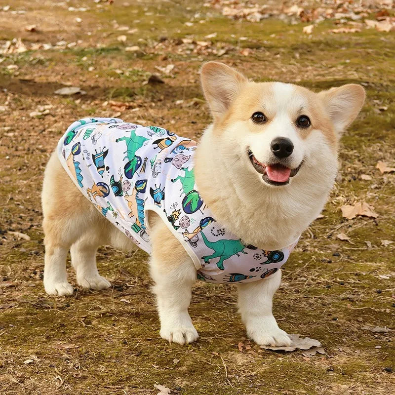 Pet Summer Cooling Vest