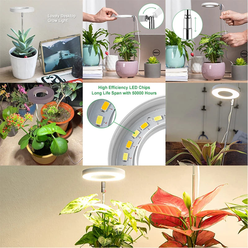 LED Grow Light Full Spectrum - USB 5V with Timer & Height Adjustment