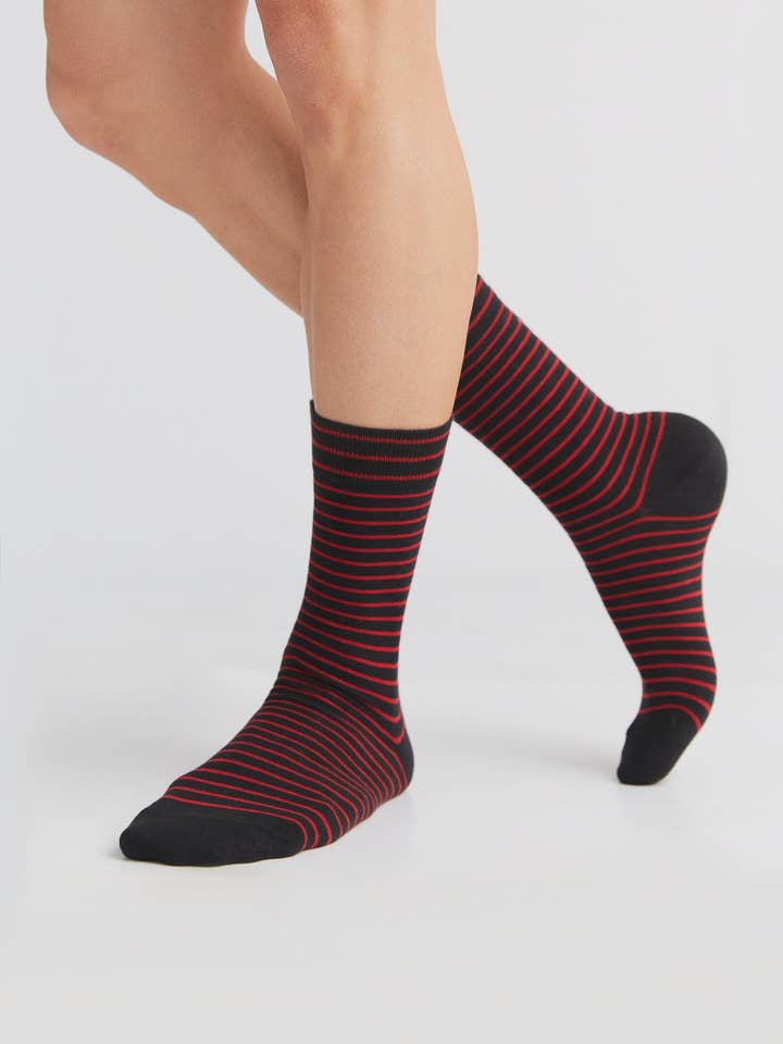 Earth Wardrobe Organic Cotton Everyday Socks 6-Pack
