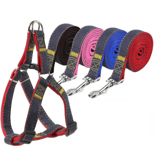 Dog harness and leashes in various colors on a white background
