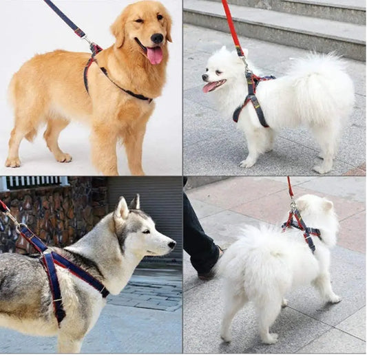 Denim Dog Harness & Collar Set - Adjustable for All Sizes