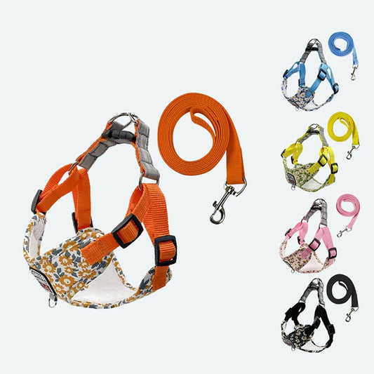 Collection of dog harnesses and leashes in various colors and patterns on a white background.