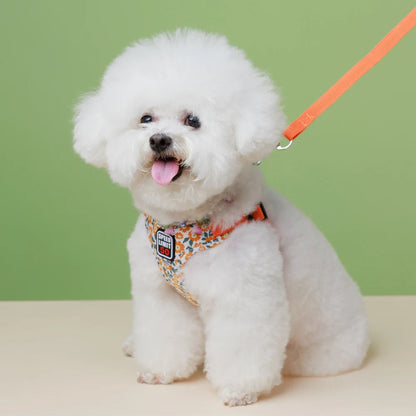 No-Pull Step-In Dog Harness & Lead - Soft Breathable Design