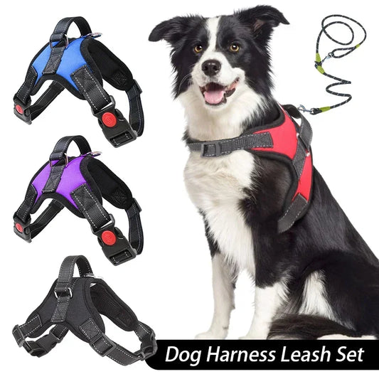 Dog sitting with a red harness and leash set, surrounded by other harnesses in different colors.