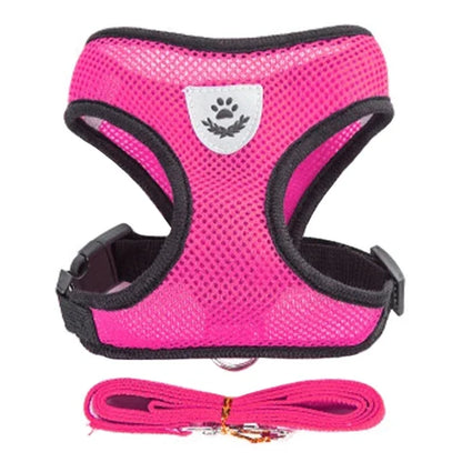 Reflective Mesh Harness & Leash - Cat & Small Dog Vest
