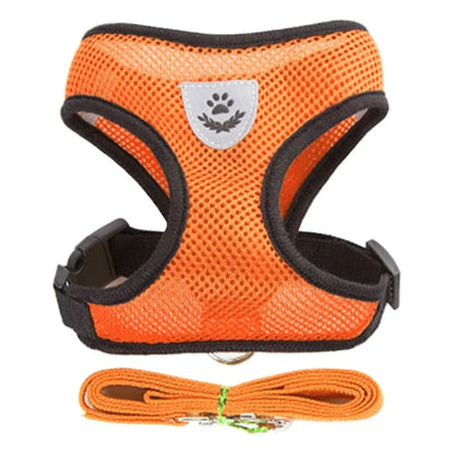 Reflective Mesh Harness & Leash - Cat & Small Dog Vest