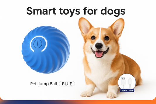 Pet Jump Ball - Professional Product Showcase