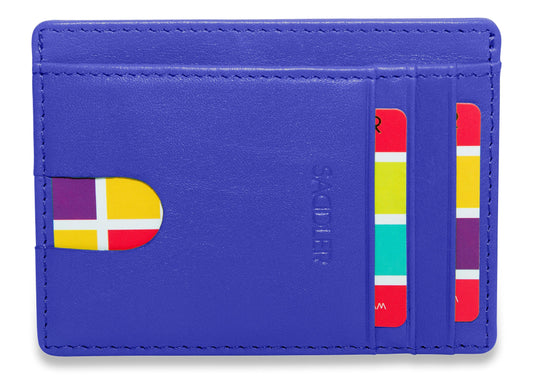 Blue cardholder with colorful design on a white background
