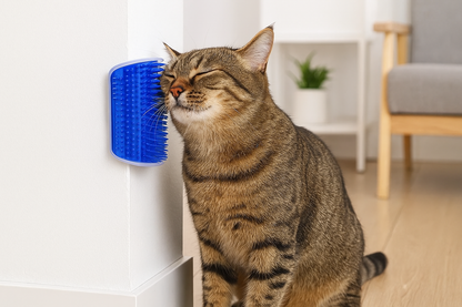 Tabby cat using corner brush on wall